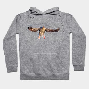 Coming into land Hoodie